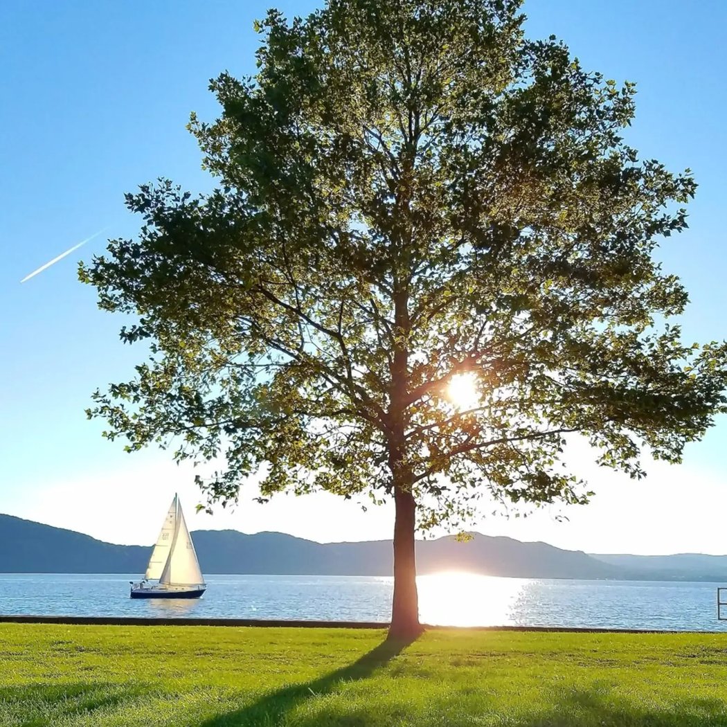 Croton Point Park 1