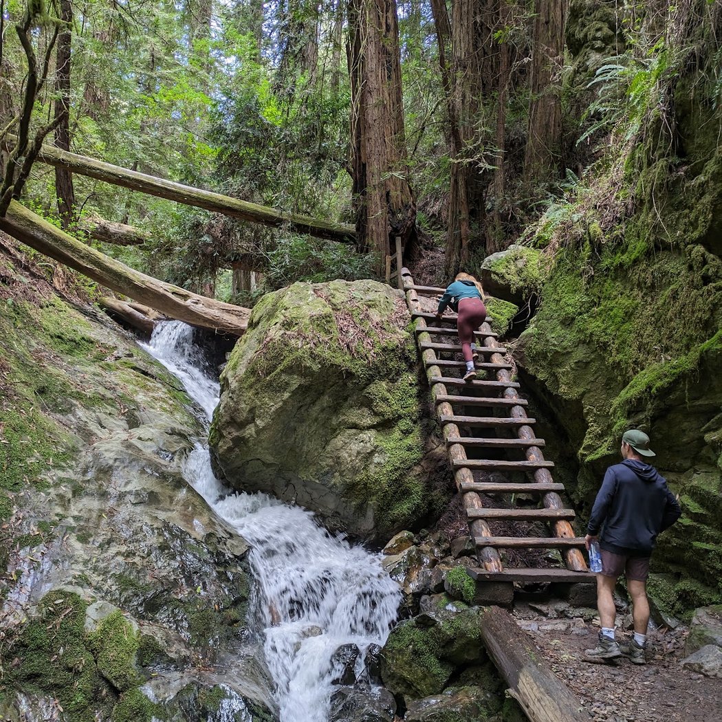 Mt Tam State Park Science Quest Day