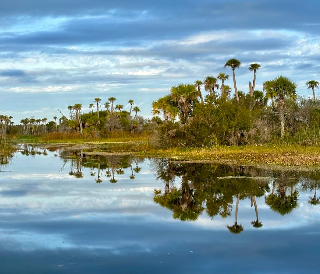 Orlando Wetlands 3