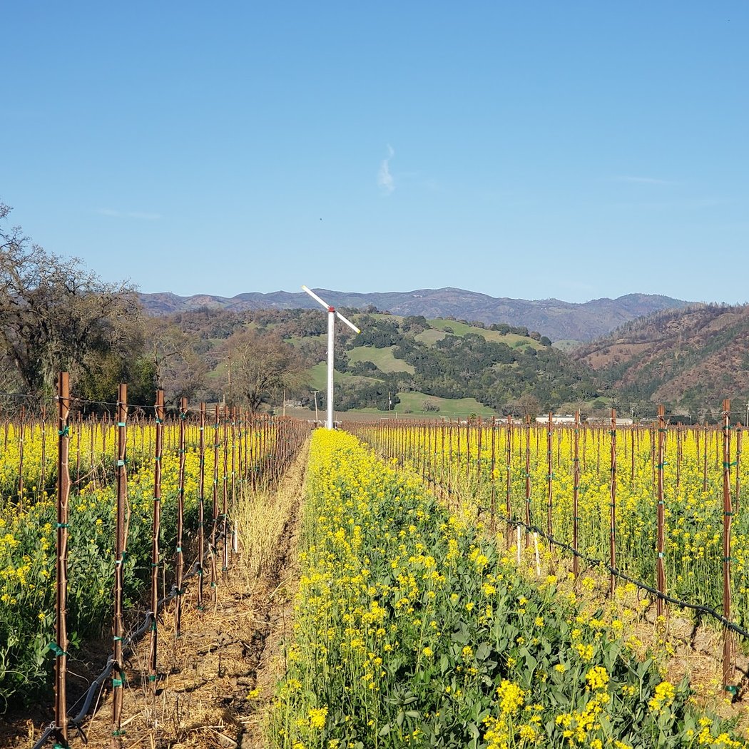 Alexander Valley AVA 2