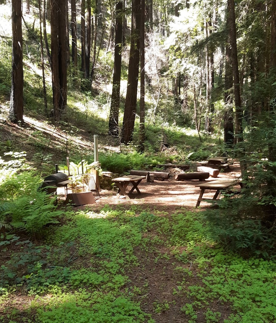 Archer Taylor Preserve Volunteer Day 5