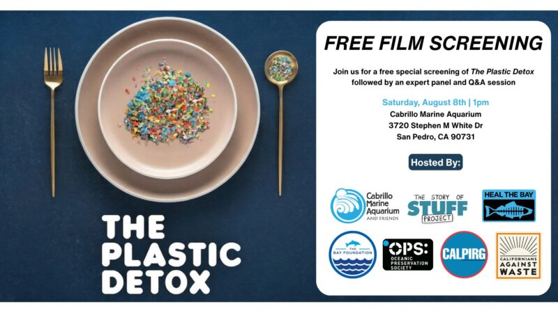 The Plastic Detox Film Screening 2