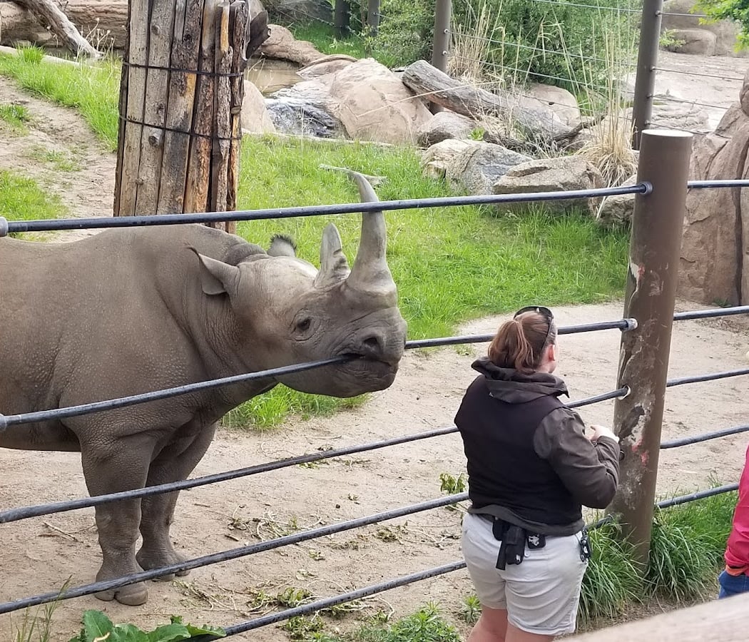 Cheyenne Mountain Zoo 2