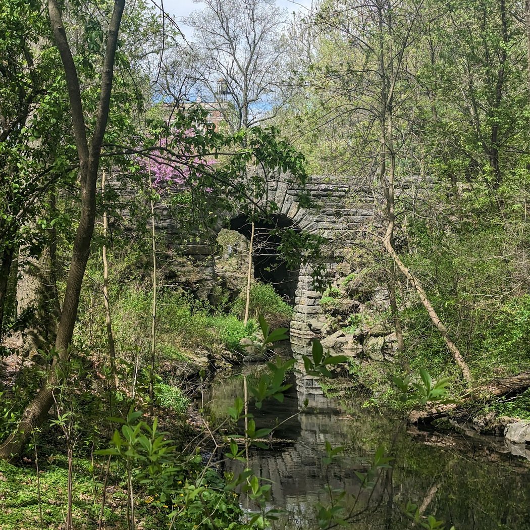 Glen Span Arch 3