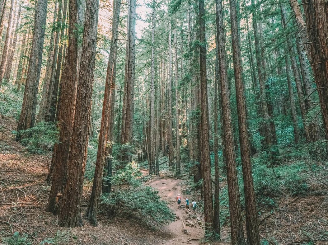 French Trail 1