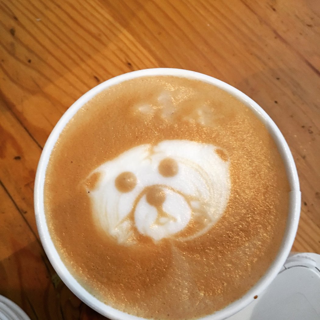 Cotati Coffee Company 1