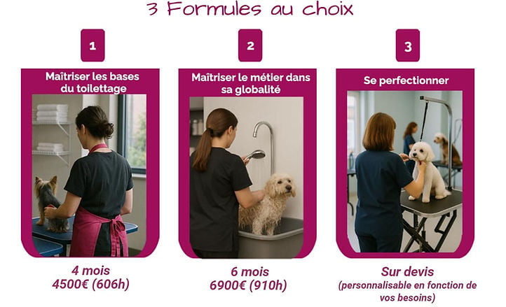 Formations Module 1 à 3 1