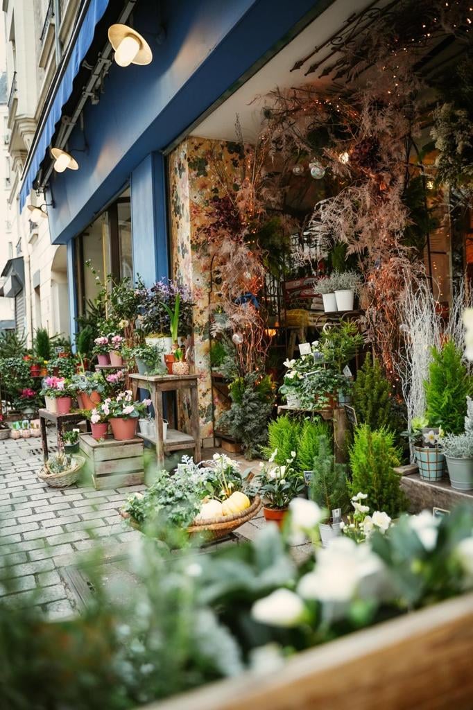 Fleuriste Brindille Paris 2