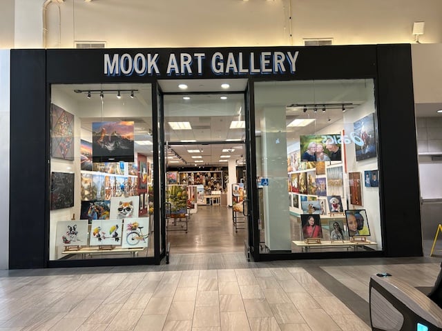 Mook Art Gallery 2