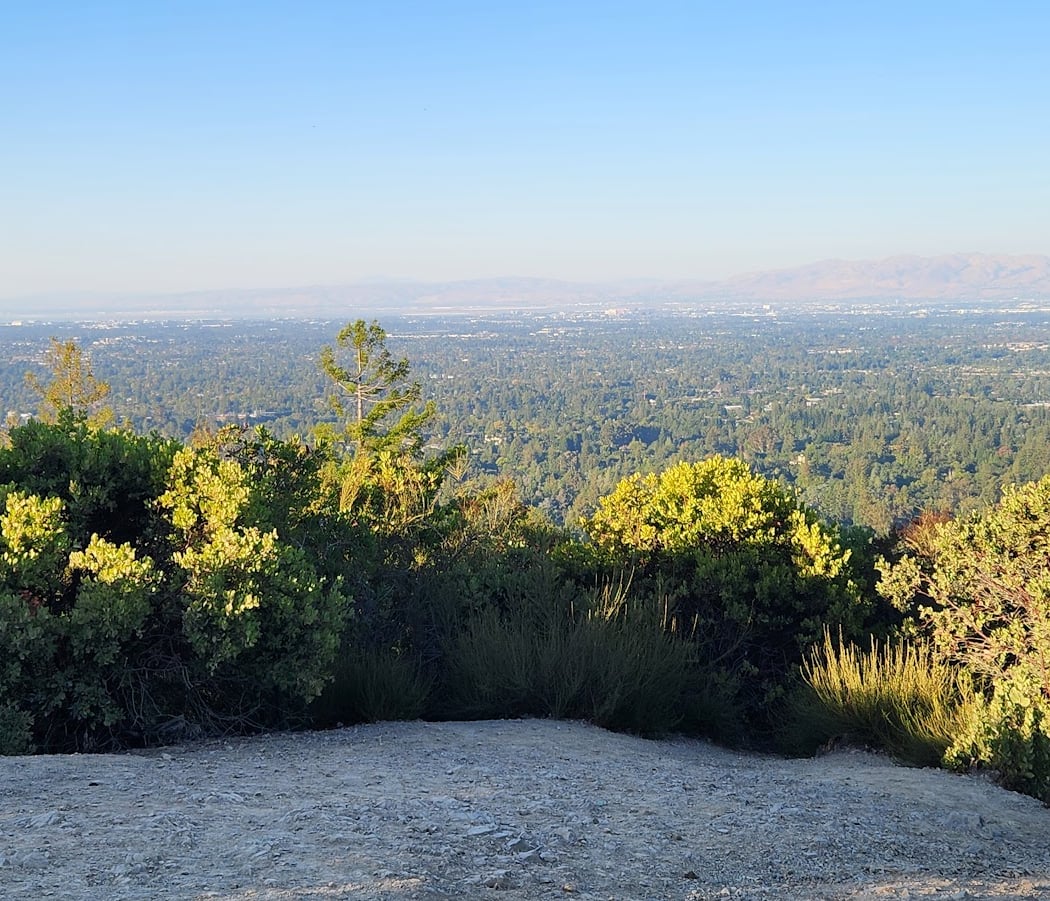 Villa Montalvo Lookout Point 3