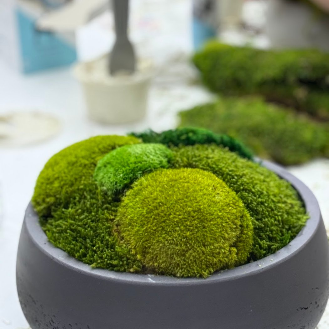 Moss Bowl Making Workshop 1