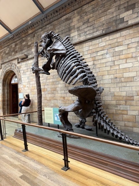 Jurassic Jaws 3