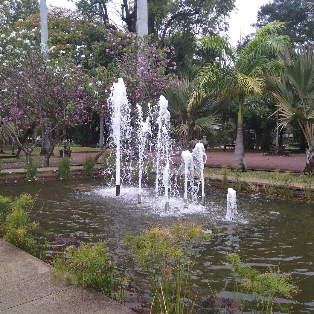 Jardin de l'État 3