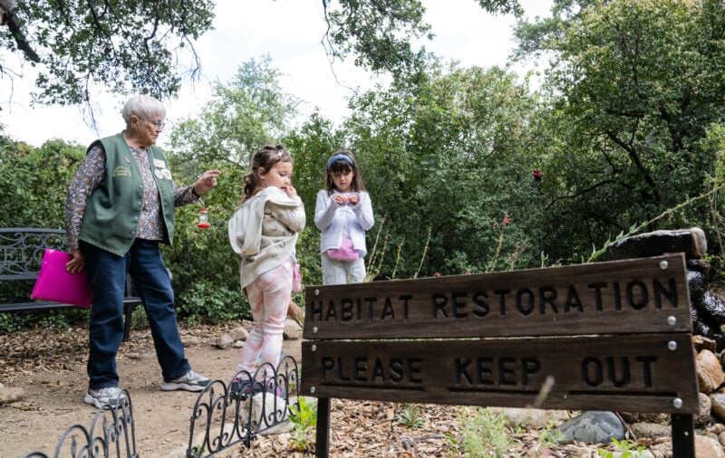 Family Nature Walk 2