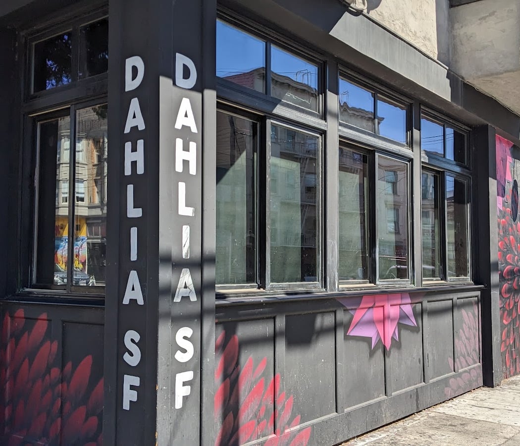 Dahlia SF 2