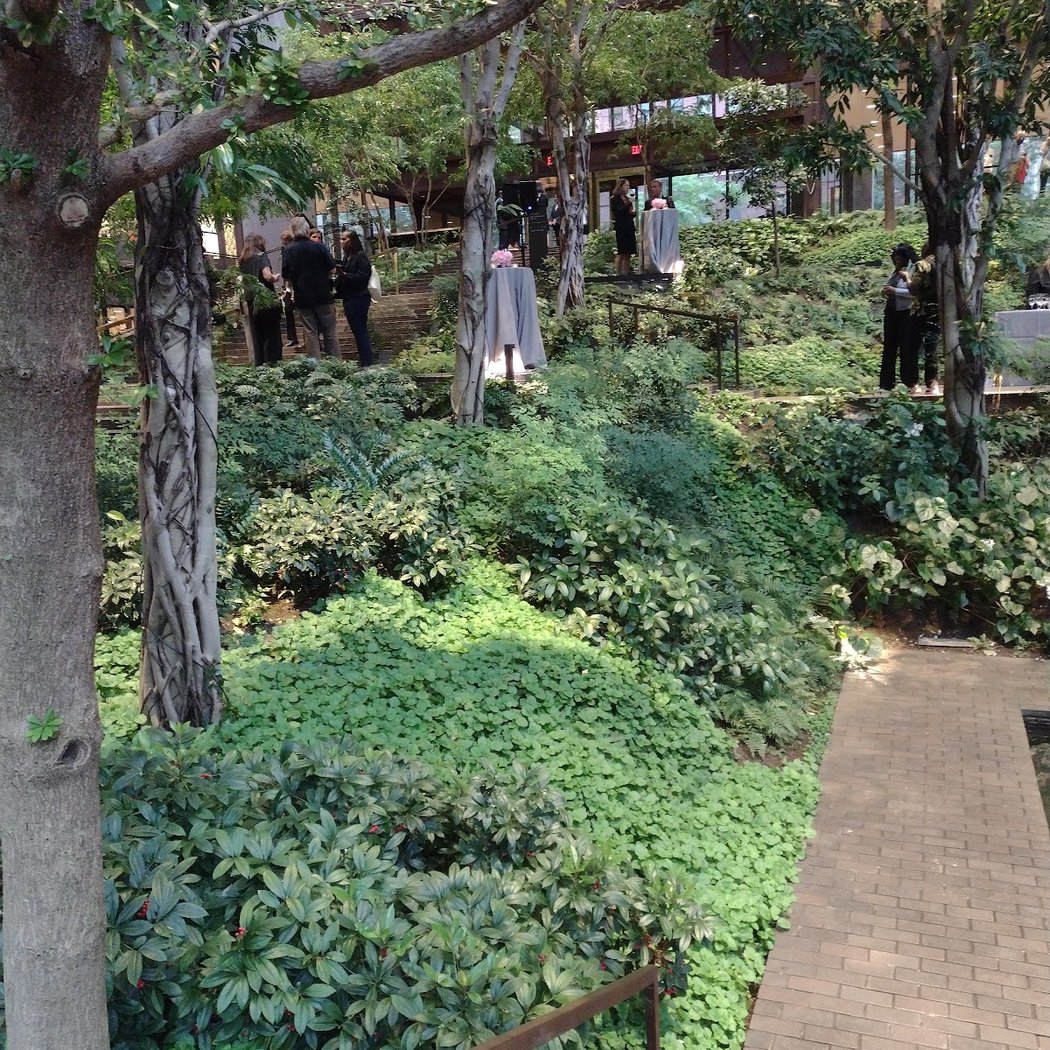 Ford Foundation Center for Social Justice 4