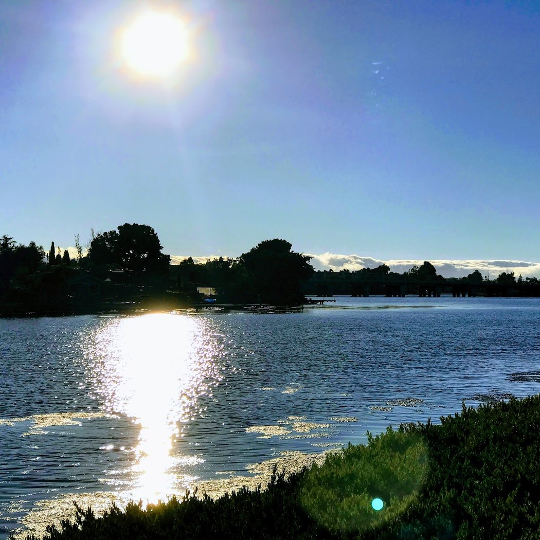 Los Prados Park 1