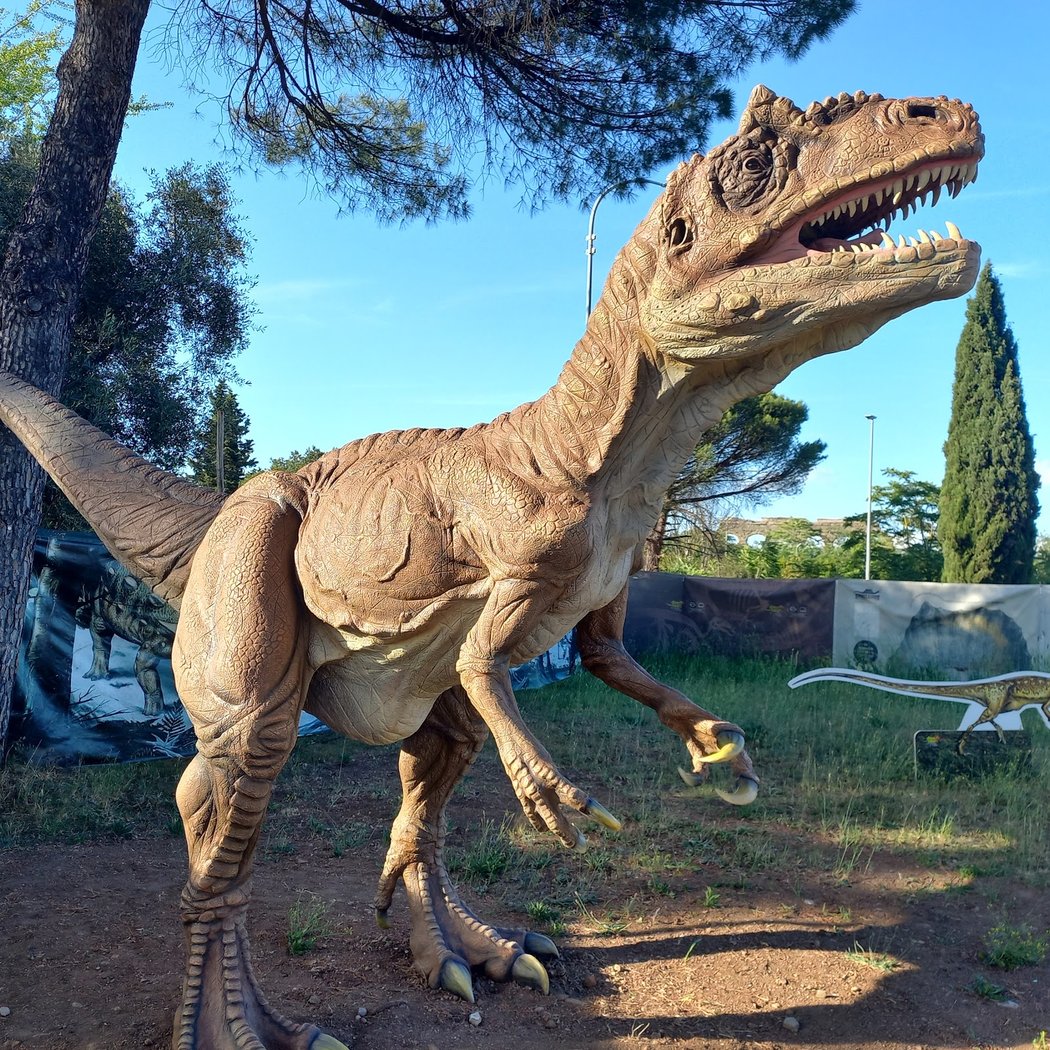 Dinosauri in Carne e Ossa 3