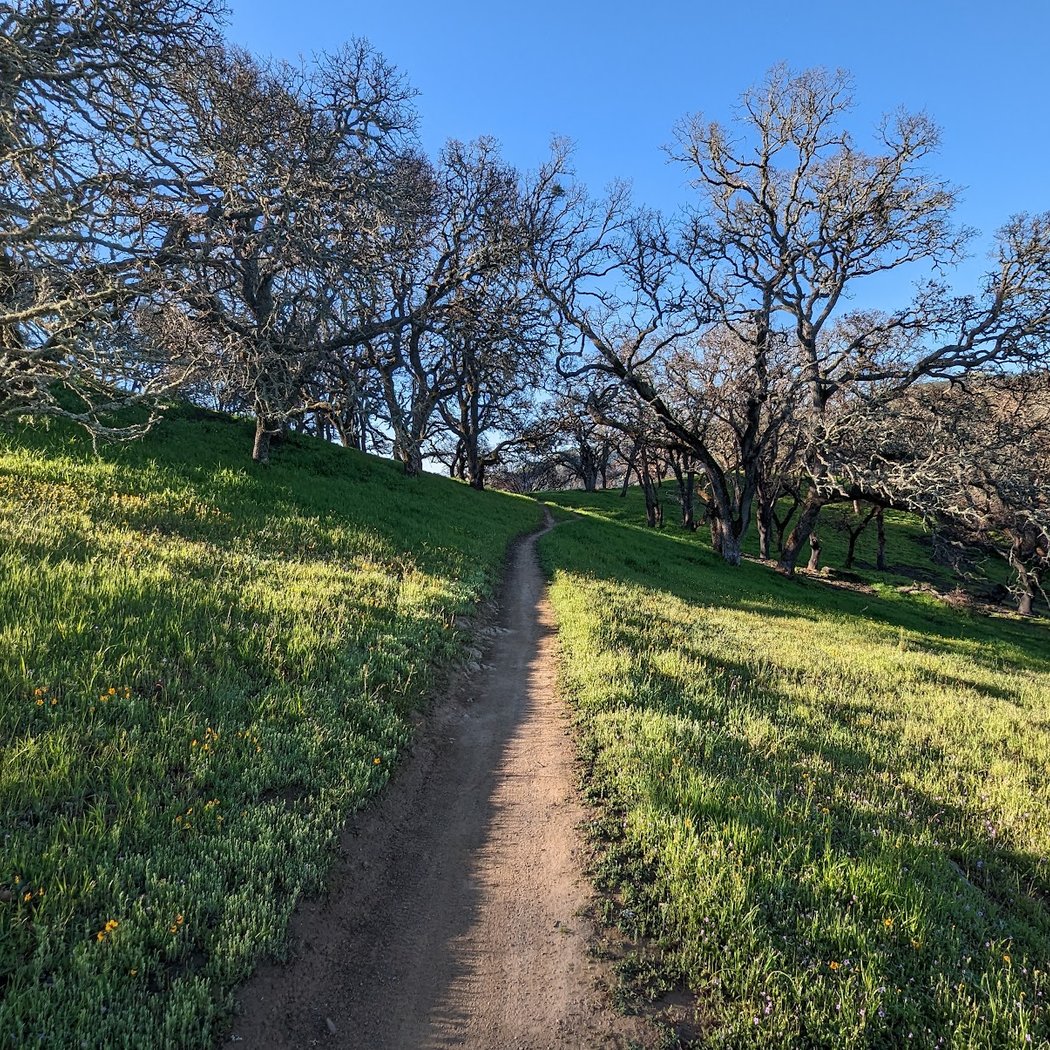 Augustin Bernal Park 1
