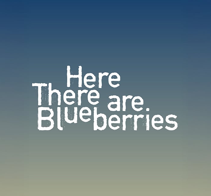 Here There are Blueberries 1