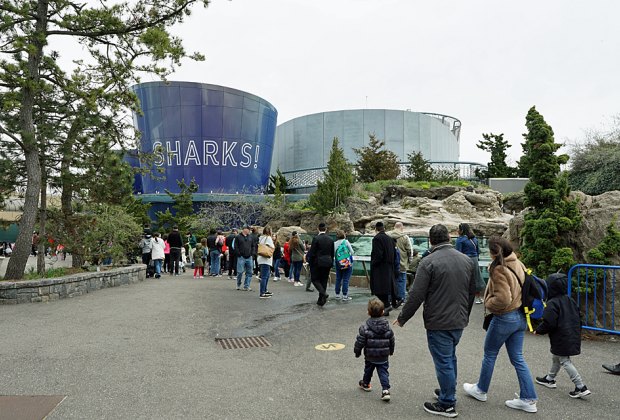 New York Aquarium + Coney Island Boardwalk 3
