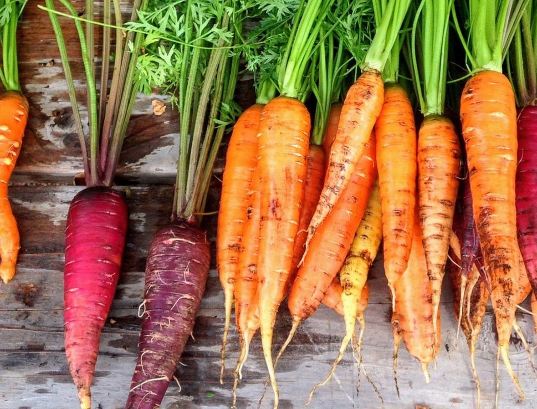 Plant-Based Table 1