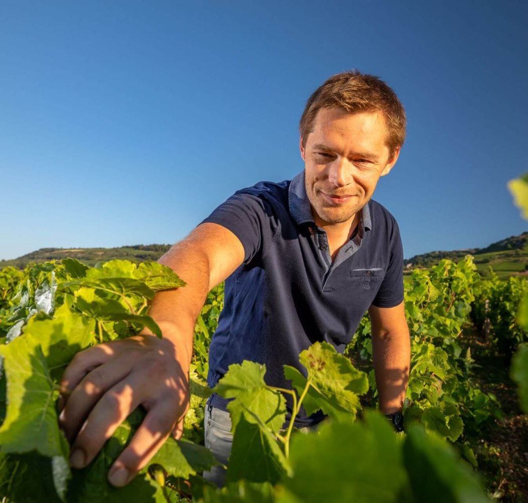 Domaine Louis Lequin & Fils 2