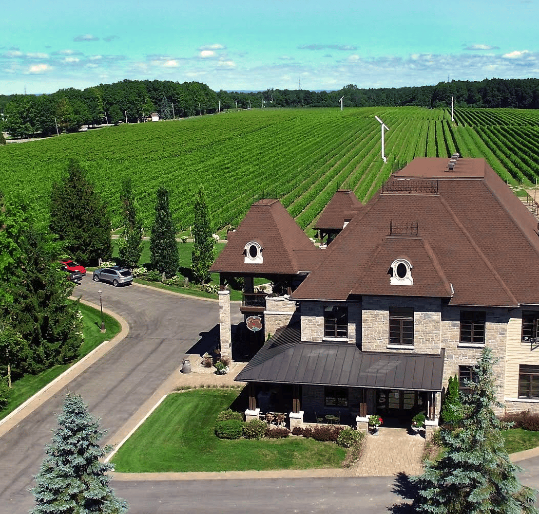 Vignoble Rivière du Chêne 3