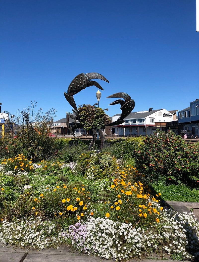 Wine Country: Half-Day Tour 5