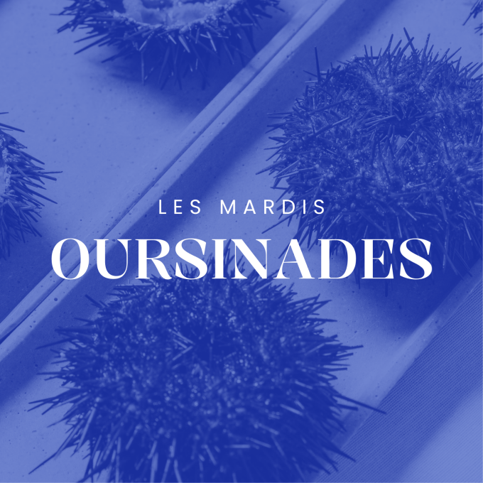 Oursinade Marseille 1