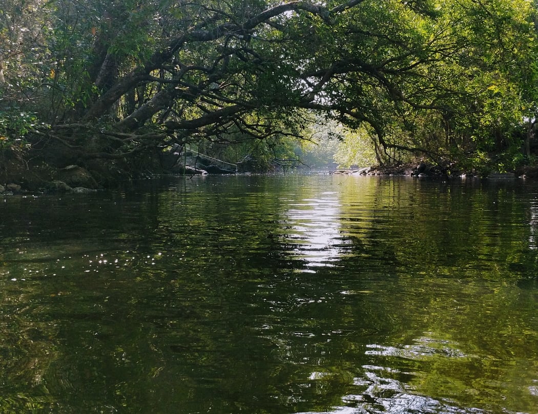 Panchtattva 3day wellness retreat 4