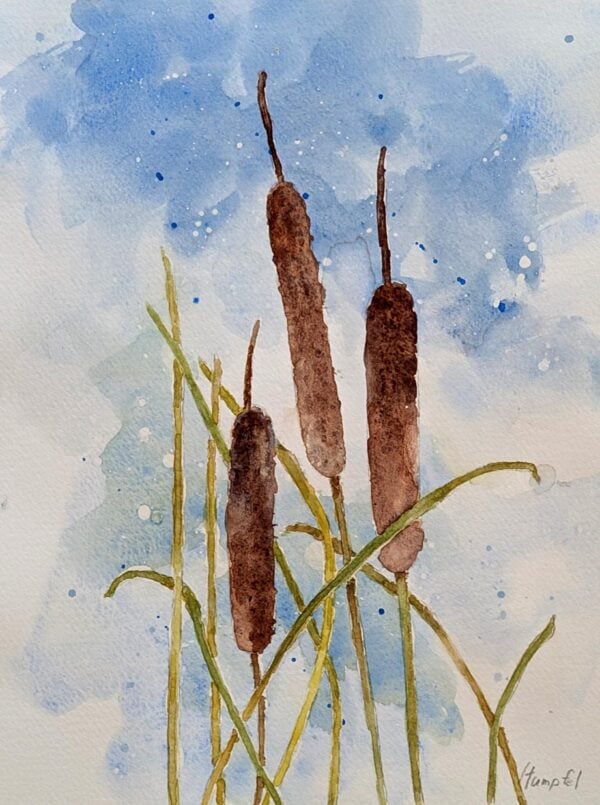 Watercolor Painting Class 1