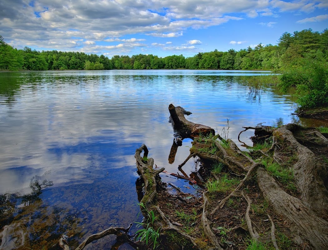 Puds Pond 2