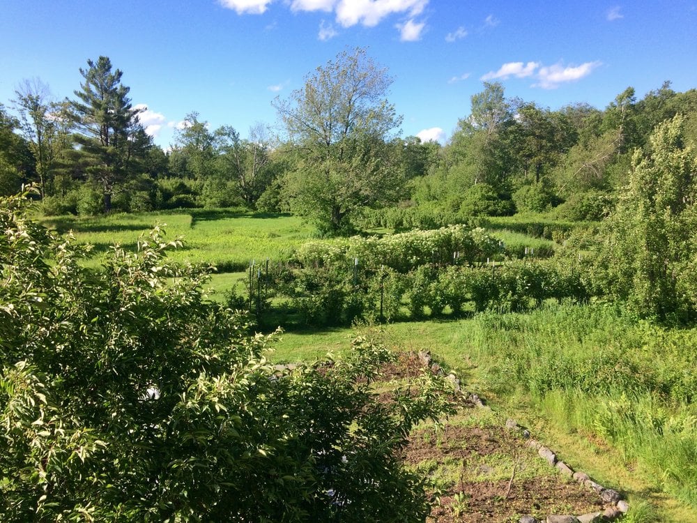 Bug Hill Farm 2