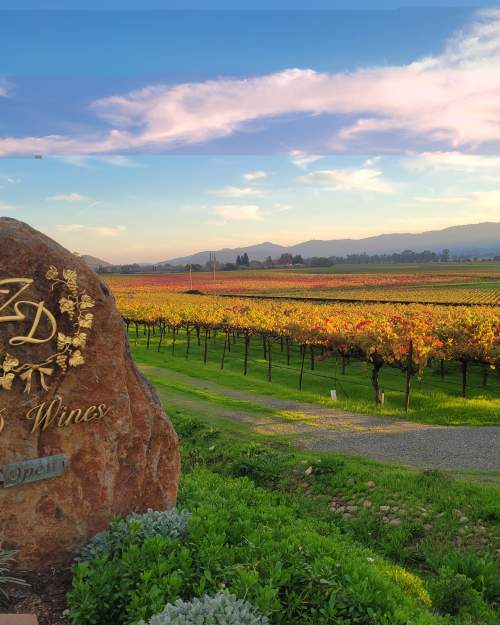 ZD Wines 2
