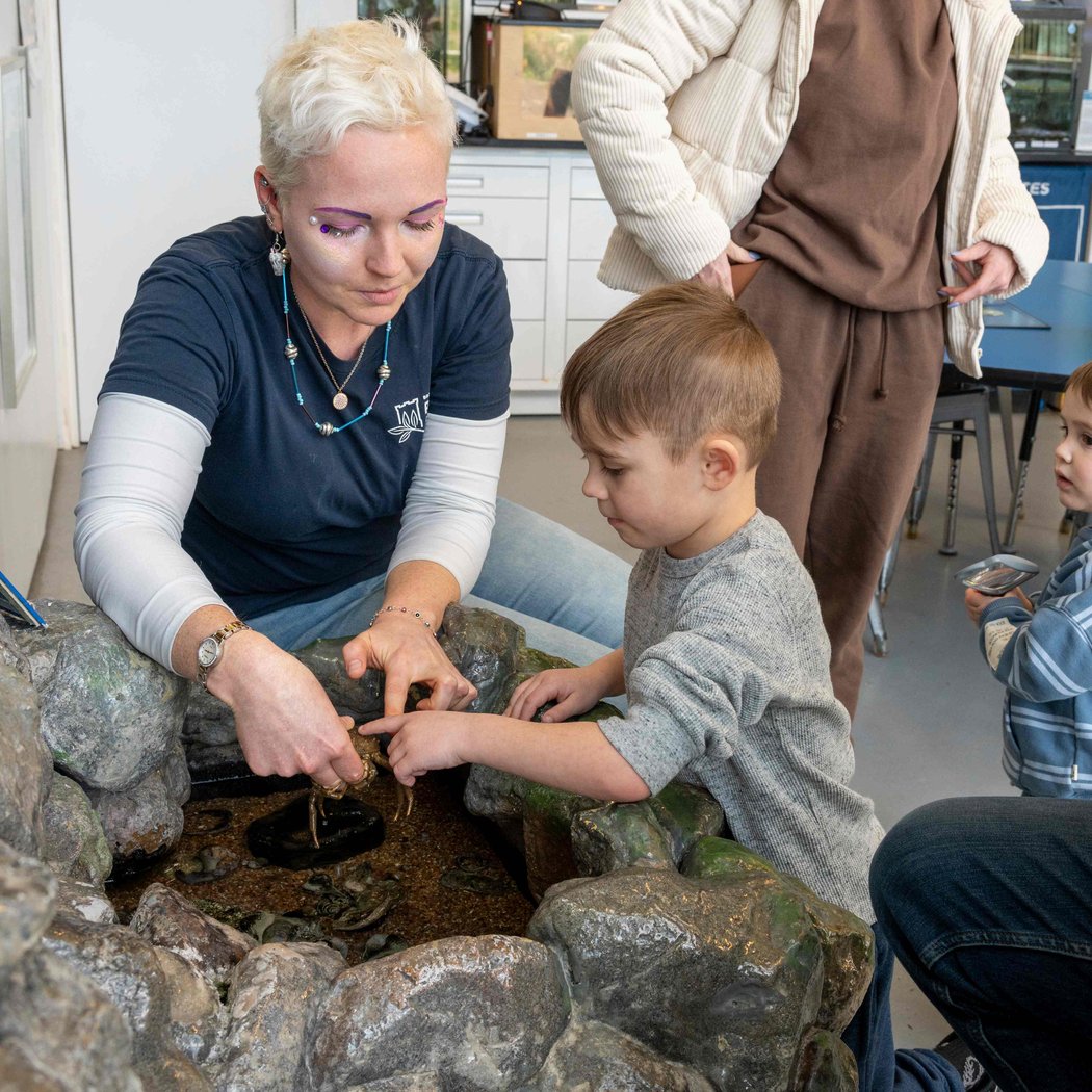 Open Hours at the Environmental Education Center 1