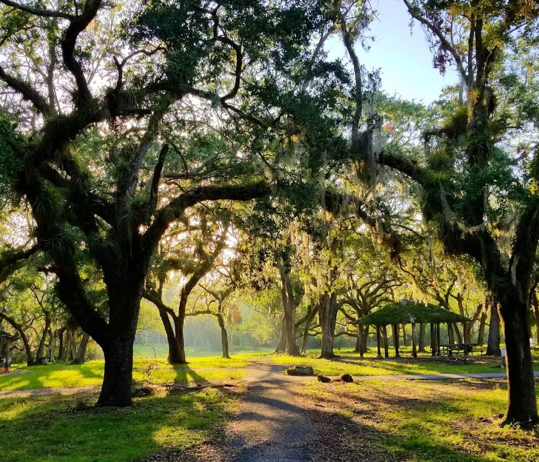 Matheson Hammock Park & Marina 2