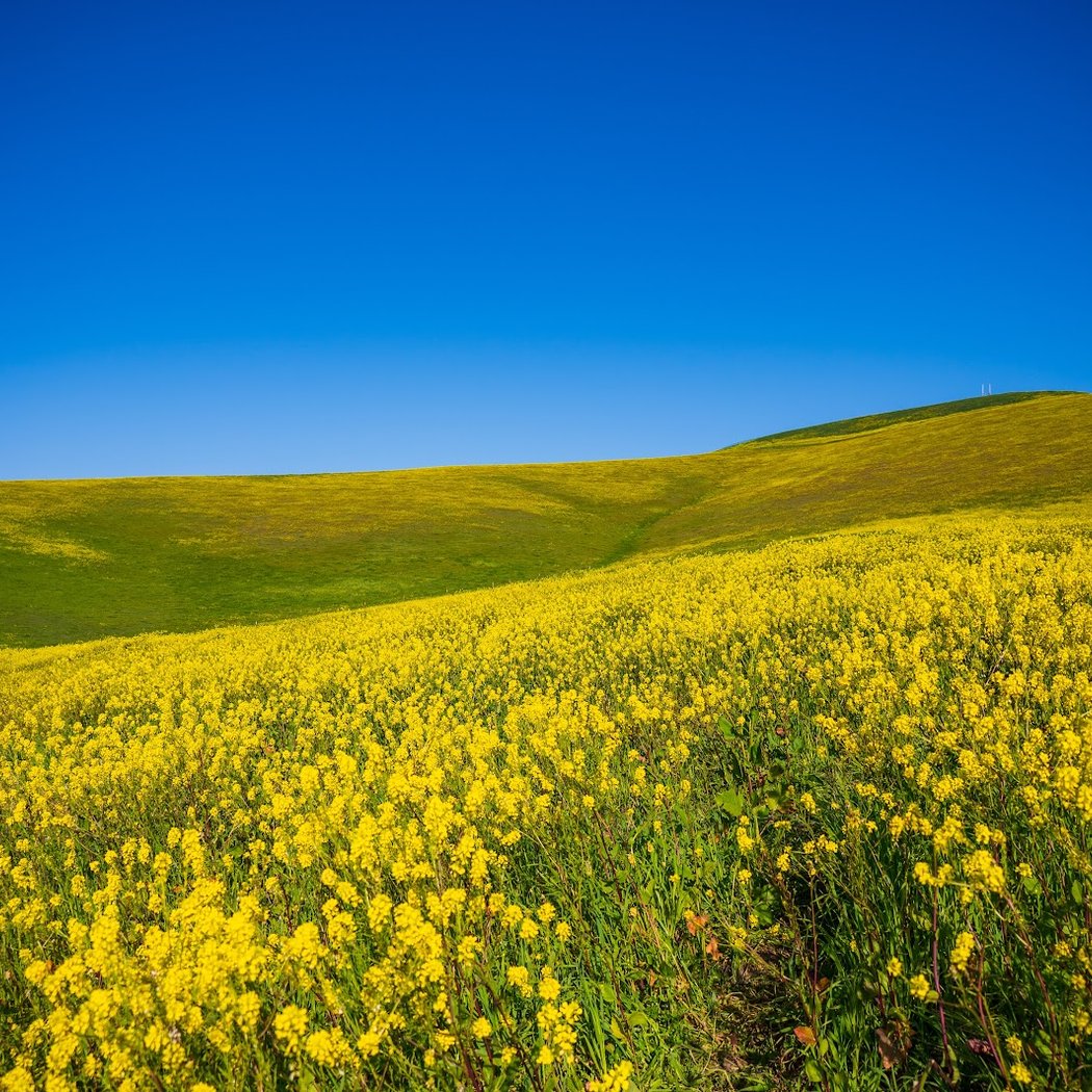 Cayetano Park Hiking trails 1