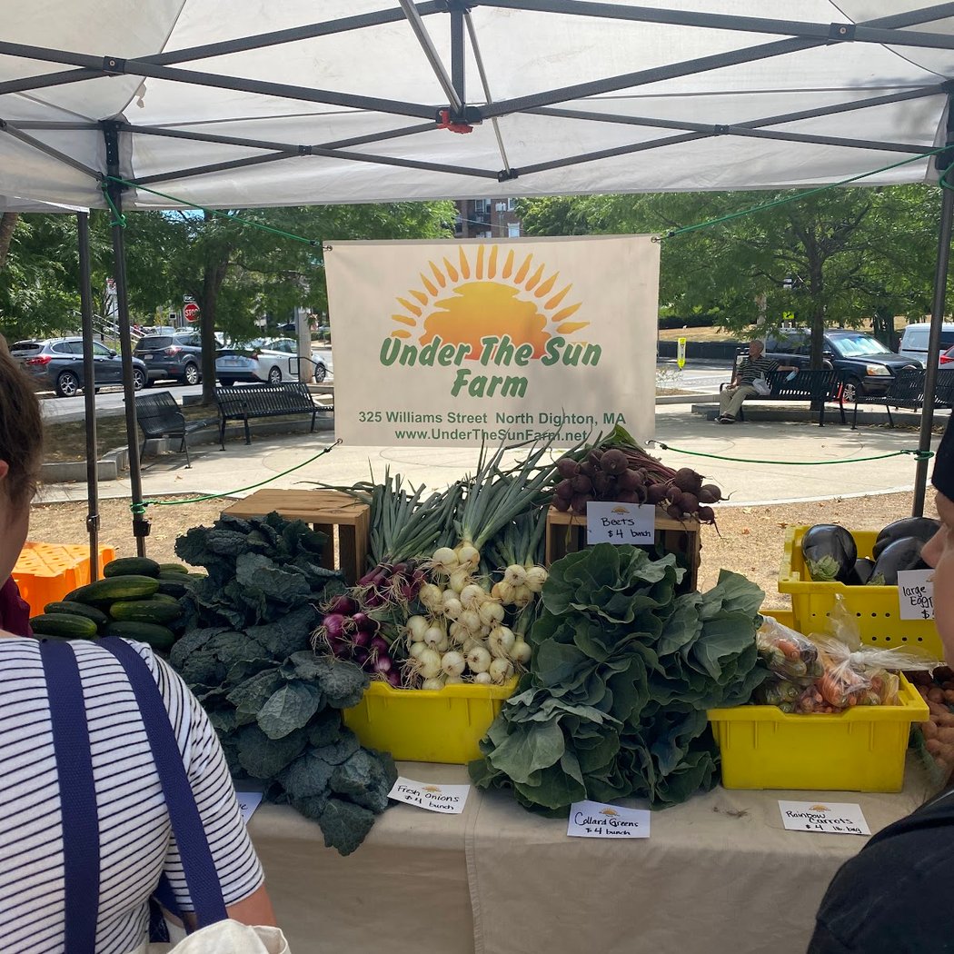 Brighton Farmers Market