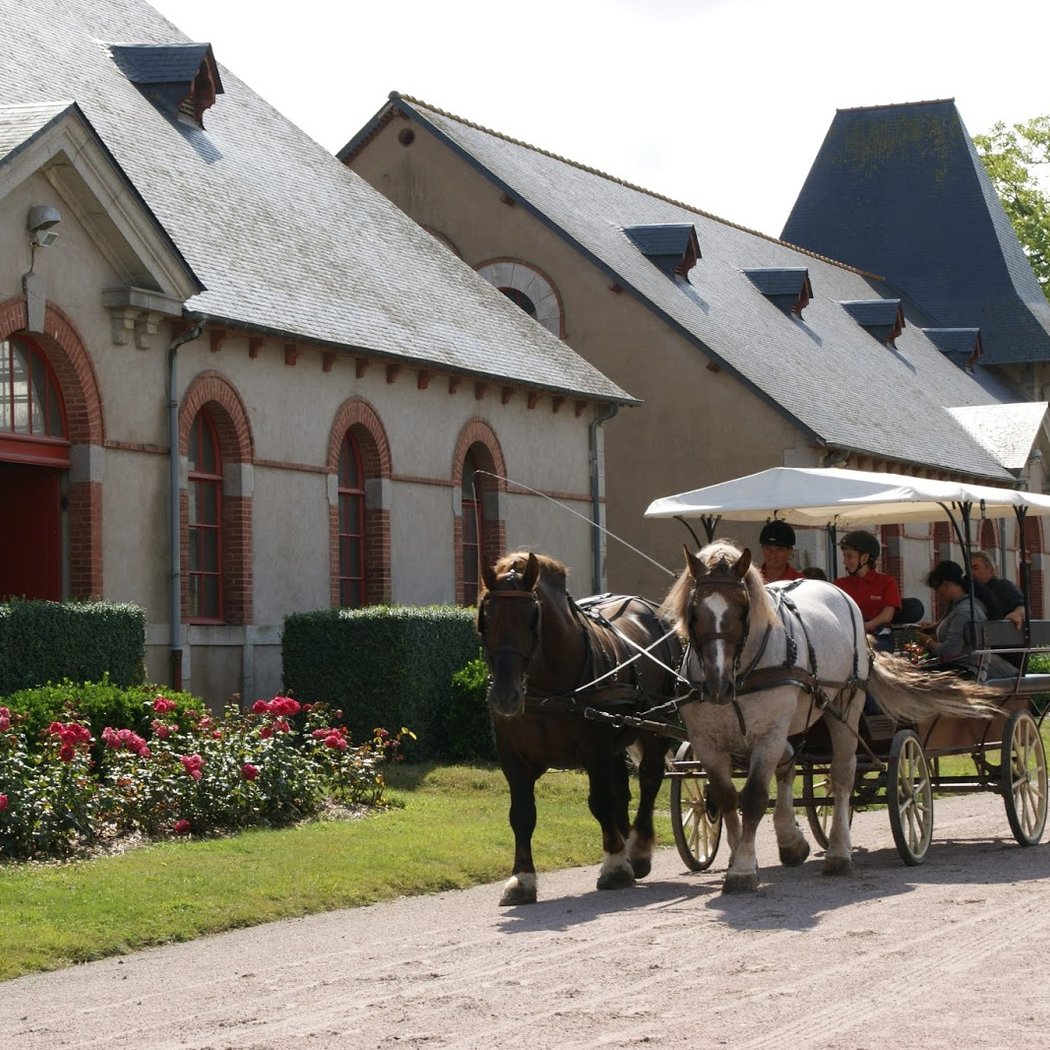 Haras National de Lamballe 1