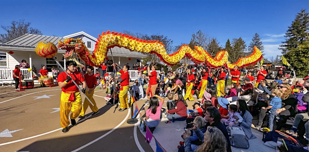 Lunar New Year Festival 1