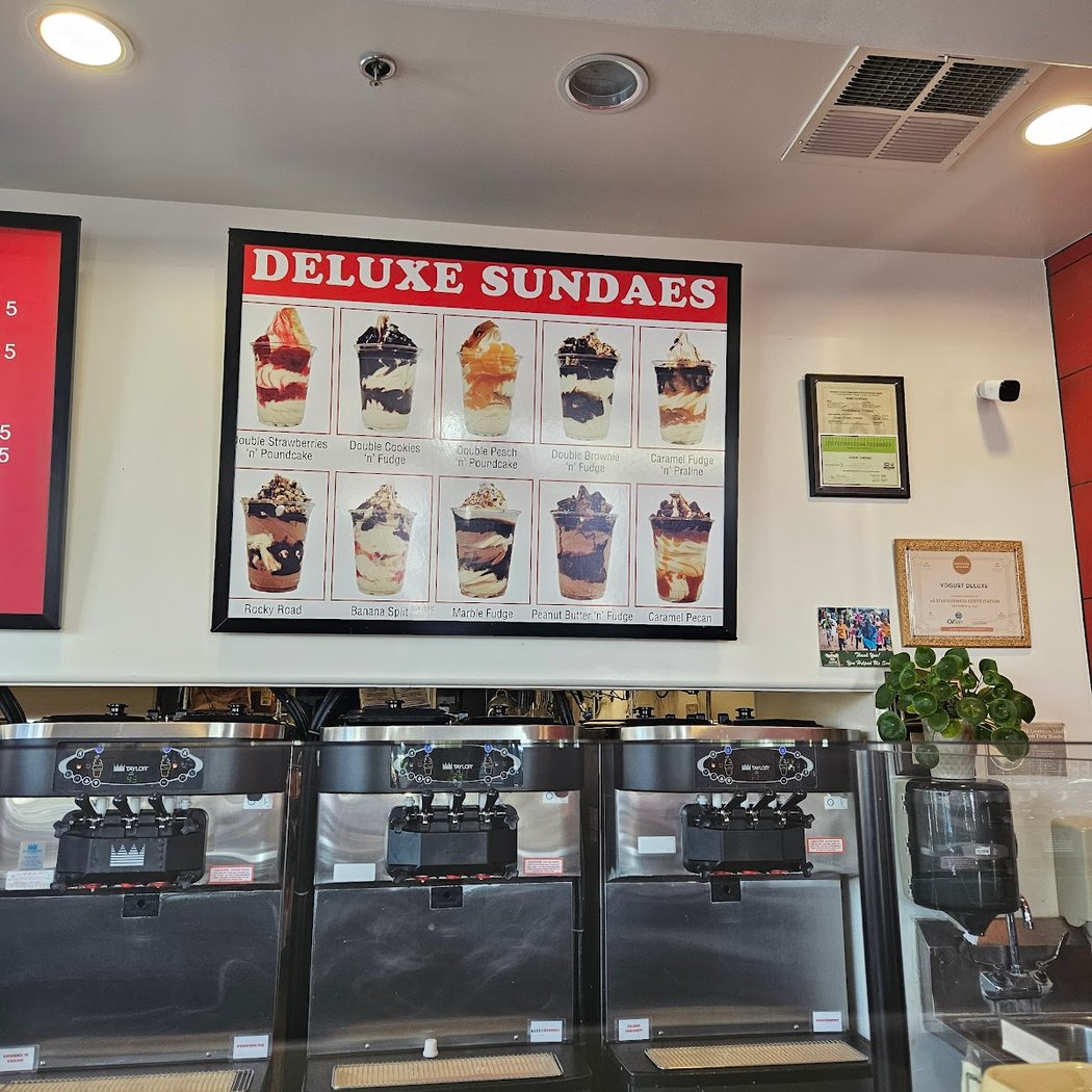 Yogurt Deluxe 2