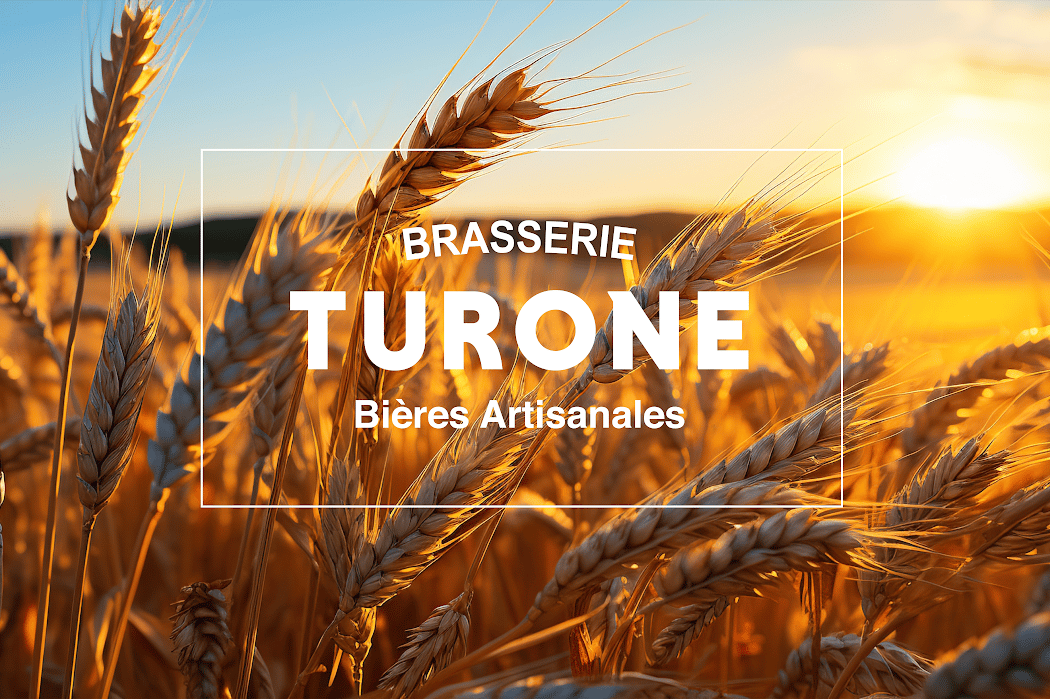 BRASSERIE TURONE 2