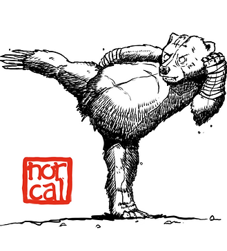 Oakland Kickboxing 2