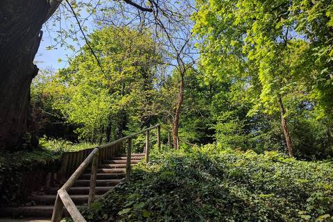 Parc départemental Henri-Sellier 2