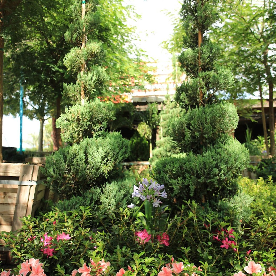 Moon Valley Nurseries 1