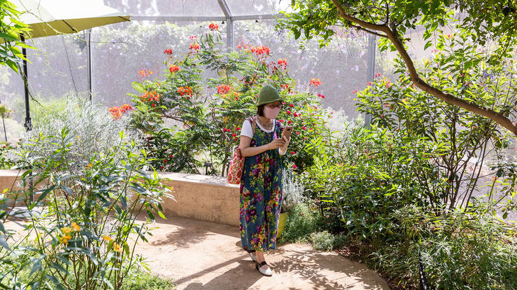 Butterfly Pavilion 2