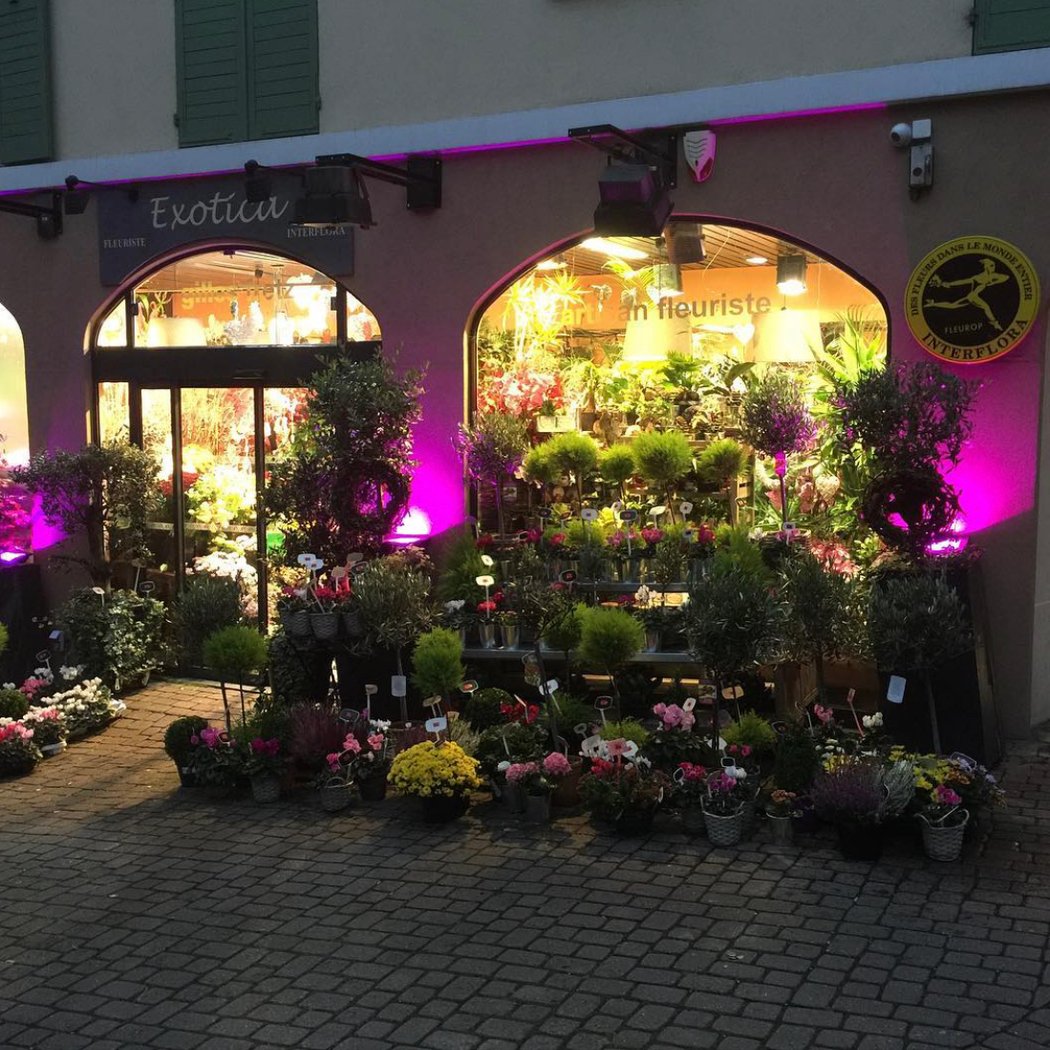 Exotica, Gilles Fretz Fleuriste 2