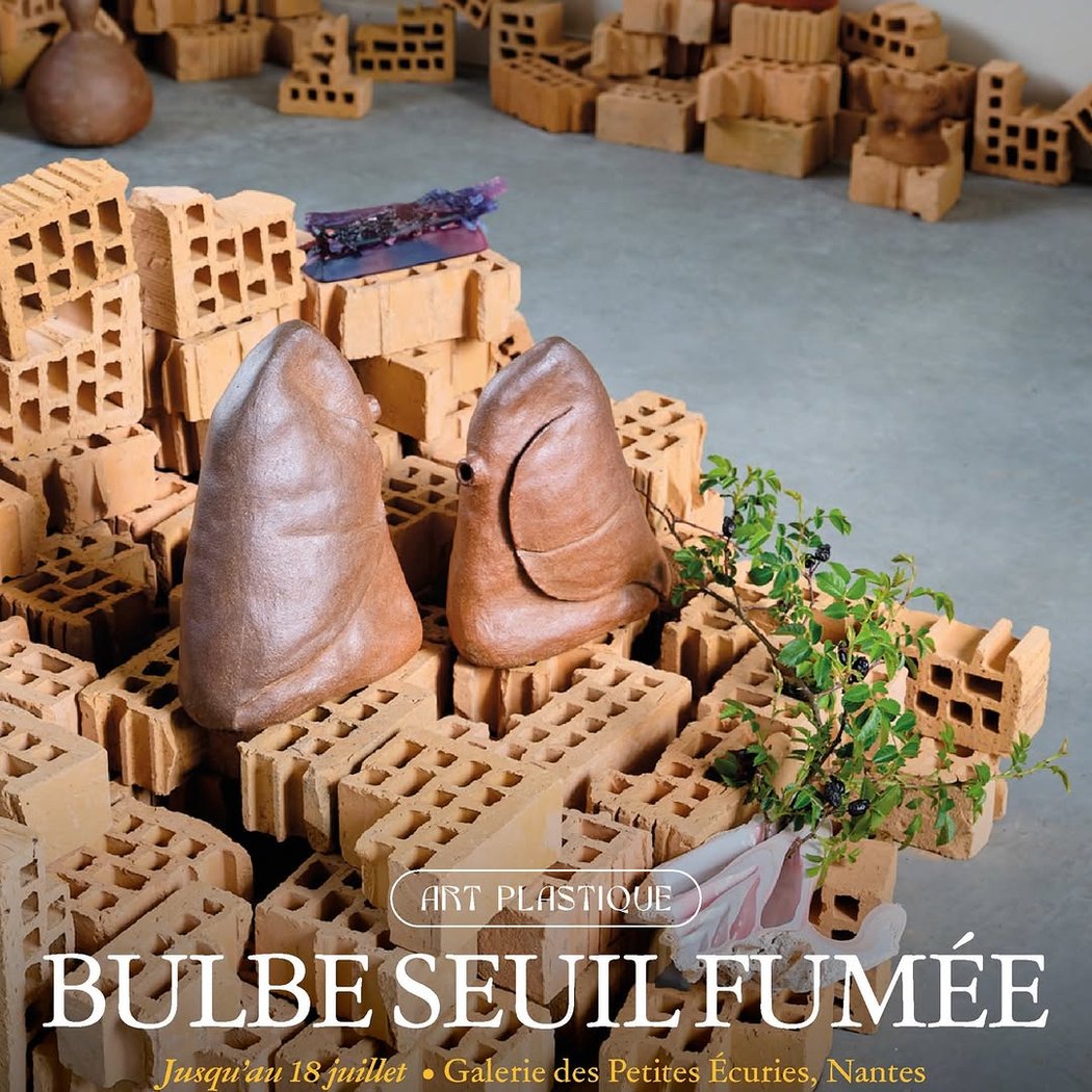 Bulbe Seuil Fumée Célie Falières 1