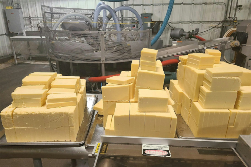 Petaluma Creamery Factory Tour 1